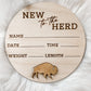 Buffalo Herd Sign