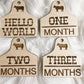 Cow Tag Milestone Set