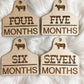 Cow Tag Milestone Set