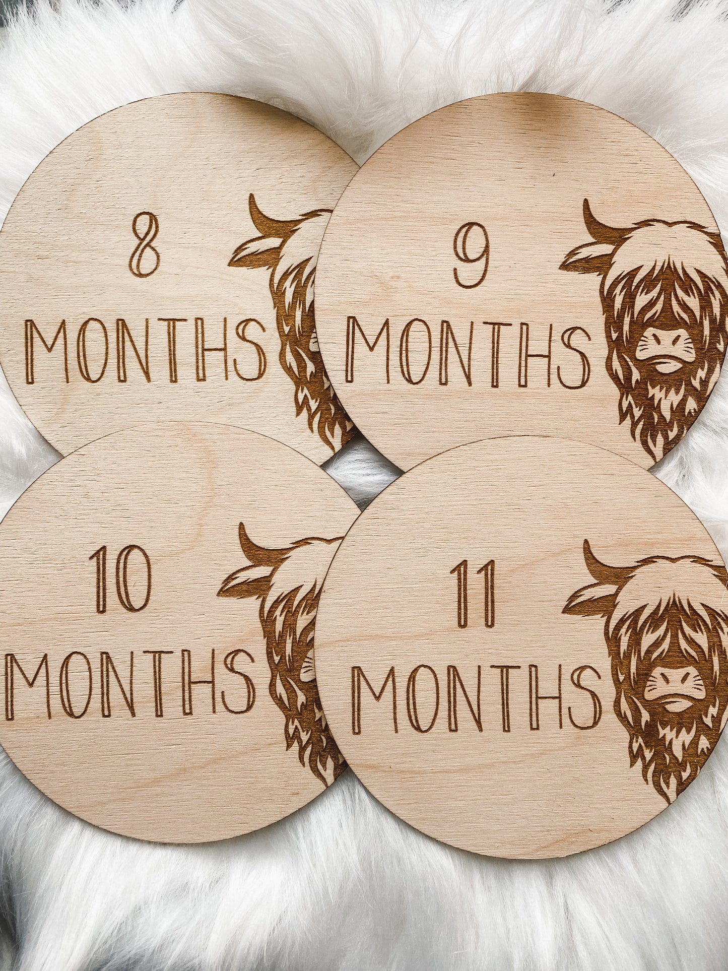 Boy Highland Cow Milestones