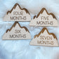 Mountain Milestones