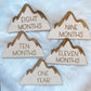 Mountain Milestones